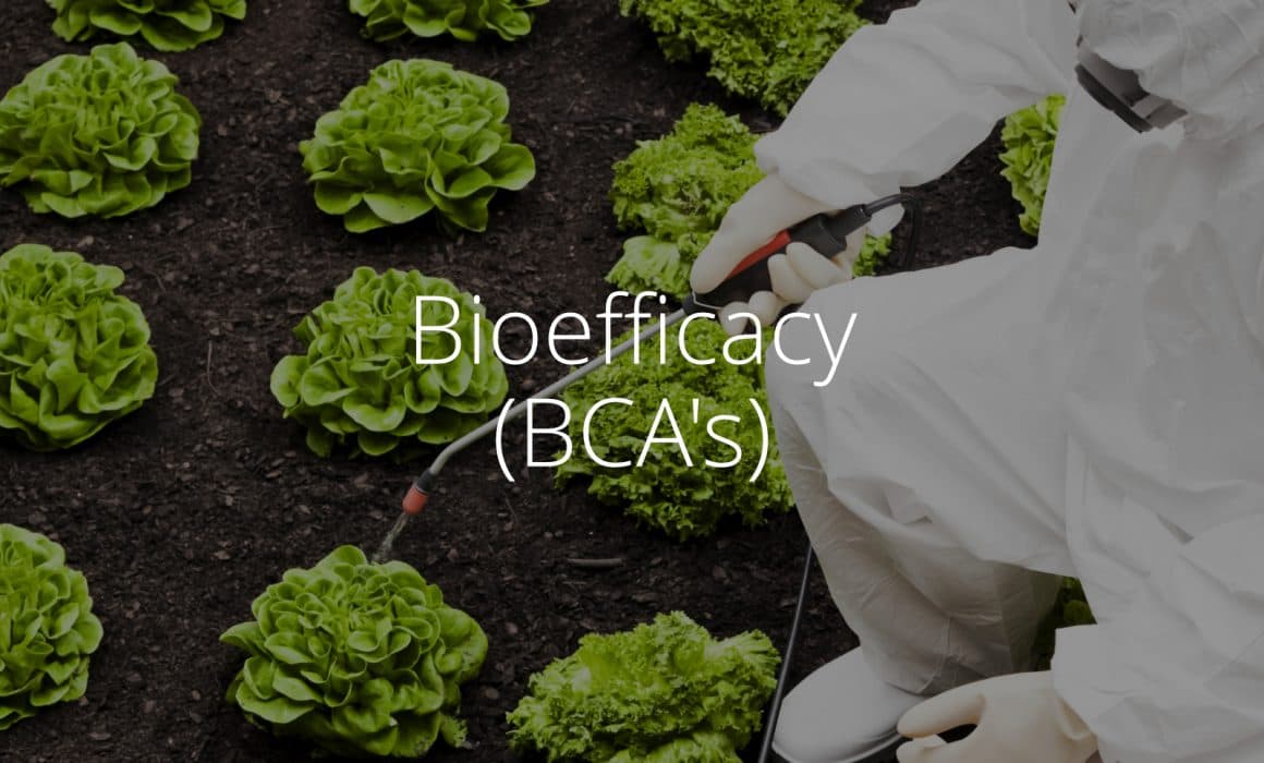 bioefficacy-bca