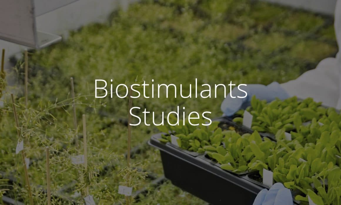 biostimulants-studies